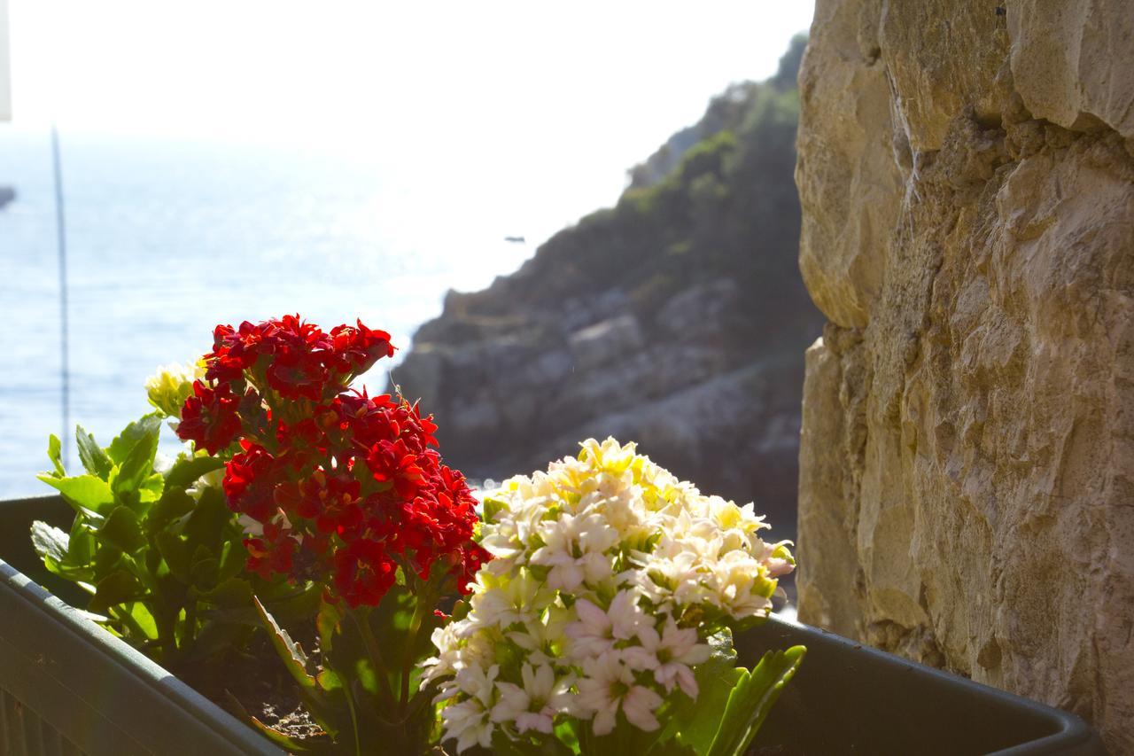 Apartments Gran Sasso ウルツィニ エクステリア 写真